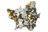 Pallasite Meteorite ( g) Slice - NWA #266442-1